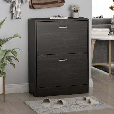 Timechee Black 2-Drawer Shoe Cabinet with 4-Tier Rack (Up to 12 Pairs)