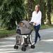 Kinbor Folding Jogger Stroller w/ Detachable Carrier in Gray | 39.8 H x 32.3 W x 16.1 D in | Wayfair RCPS005GY