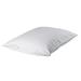 Alwyn Home Shena Luxury Zipper Pillow Protector 100% Cotton in White | 20 H x 26 W in | Wayfair DCC20C79D4974664A0A7DD472C1D6D07