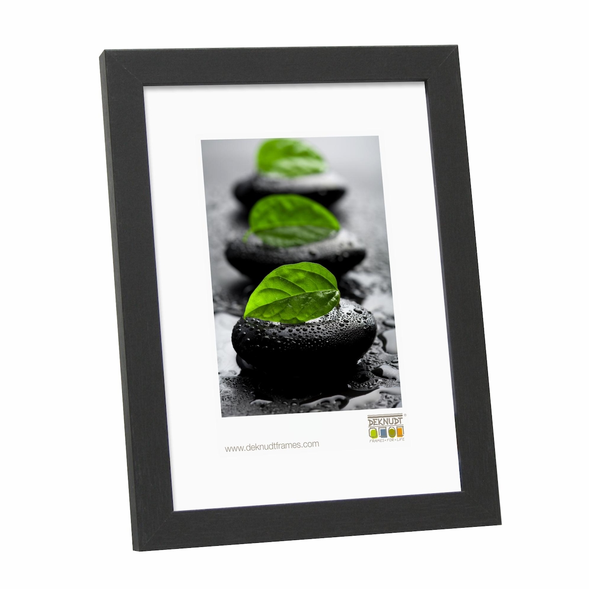 Deknudt S44CF2 Schwarz Einzelbilderrahmen Image