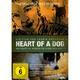 Heart Of A Dog (DVD)