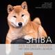 Shiba - Christiane Forkmann-Horn, Gebunden