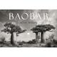 Baobab: Meine Reise Zu Den Ältesten Lebewesen Und Waldwächtern - Beth Moon, Gebunden