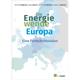 Die Energiewende In Europa - Peter Hennicke, Jana Rasch, Judith Schröder, Daniel Lorberg, Kartoniert (TB)