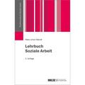 Studienmodule Soziale Arbeit / Lehrbuch Soziale Arbeit - Peter-Ulrich Wendt, Kartoniert (TB)