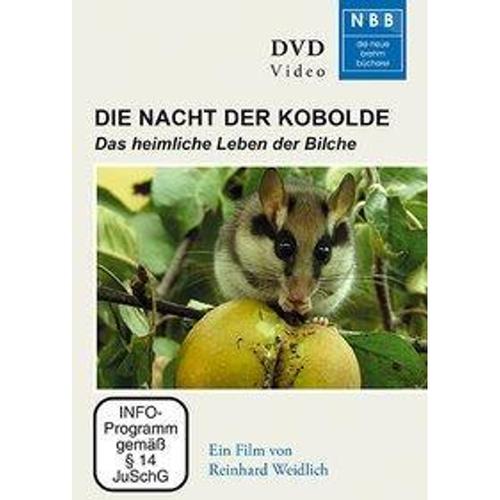 Die Nacht der Kobolde, 1 DVD (DVD)