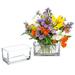 Rebrilliant 2 Piece Table Glass Planter Box Glass | 7.8 H x 3.9 W x 4 D in | Wayfair AC264A6FCE03403C9C0D3D8DBFD80B23