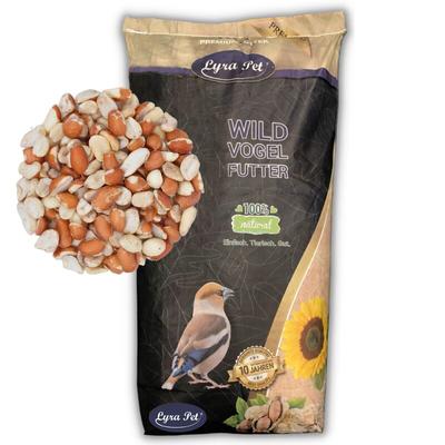 20 kg Lyra Pet Erdnusskerne Splits gemischt blanchiert und mit Haut Neue Ernte