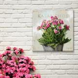 Darren Gygi Home Collection Kalanchoe by Darren Gygi - Wrapped Canvas Graphic Art Canvas | 5 H x 5 W x 1 D in | Wayfair 621-Z-0505