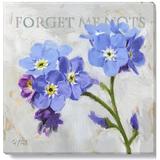 Darren Gygi Home Collection Forget Me Nots by Darren Gygi - Wrapped Canvas Graphic Art Canvas | 5 H x 5 W x 1 D in | Wayfair 385-Z-0505