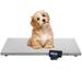 SUNYOU Precision Weighing Scale in Gray | 40.9 H x 20.5 W x 1.7 D in | Wayfair Y0624