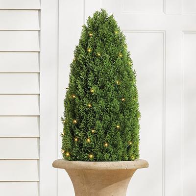 Pre-Lit Pond Cypress Cone Topiary - Grandin Road