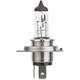 HELLA Ampoule, projecteur principal pour AMC: Pacer (Ref: 8GJ 007 255-123)