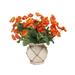 Primrue Ranunculus Floral Arrangement in Vase Polysilk in Brown/Orange/Red | 15.5 H x 16 W x 14 D in | Wayfair 5D57D197B6054A12A3CB0FA98057FEE2