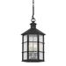 Lake County by Mark D. Sikes - 4 Light Exterior Lantern - French Iron Frame - Clear Seeded Glass