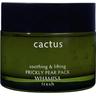 WHAMISA Cactus Prickly Pear Pack 100 g Gesichtsmaske