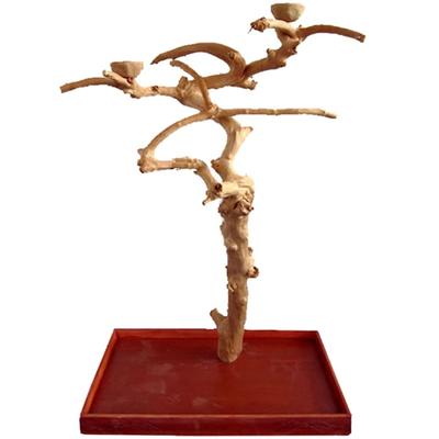 A&E Cage Company Medium Java Wood Boxed Tree, 40" L X 32" W X 61" H