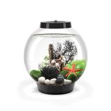 biOrb CLASSIC 15 4 Gallon Round Aquarium Tank w/ MCR Light Acrylic (shatterproof w/ great clarity) in Black | 12.5 H x 11.75 W x 11.75 D in | Wayfair