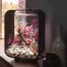 biOrb Life 15 4 Gallon Rectangle Aquarium Tank w/ MCR Light Acrylic (shatterproof w/ great clarity) in Black | 15.5 H x 7.4 W x 11.25 D in | Wayfair