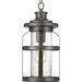 Pettiford 1 -Bulb 16.25" H Outdoor Hanging Lantern Glass/Metal/Steel in Gray Laurel Foundry Modern Farmhouse® | 16.25 H x 7.5 W x 7.5 D in | Wayfair