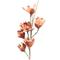 Light Garden 700100 - TERRACOTTA MULTI BLOOM FOAM FLOWER 47