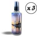 Aérosol parfumeur 125 ml Parfum Divine Forte rémanence - Quantité x 3 - 125 ml - Parfum Nocturne