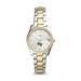 Women's Fossil Wake Forest Demon Deacons Scarlette Mini Two-Tone Stainless Steel Watch