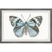 Gracie Oaks Wild Butterfly by Parvez Taj - Picture Frame Print Paper in Black/Blue | 8 H x 12 W x 1.5 D in | Wayfair