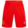 Borussia Dortmund BVB PUMA Kinder Torwart Shorts 757180-06