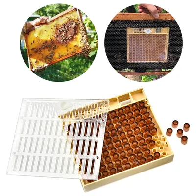 Boîte à gobelets pour élever des abeilles système d'élevage reine et 120 jeux en plastique