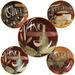 Certified International Bella Vita Pasta Bowl Set Ceramic/Earthenware/Stoneware in Brown/Green/Red | 2.5 H in | Wayfair 89236