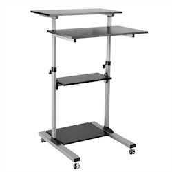 ROLINE PC-Steh-Arbeitsplatz, höhenverstellbar, schwarz / grau Image