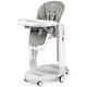 Peg Perego S.p.A. FOLLOW ME ICE, grau