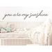Trinx You Are My Sunshine | Room Wall Decal Vinyl in Brown | 4 H x 20 W in | Wayfair 3CFC2DEDF3494969B83A9F661EC93AFF