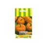 Courge Jack Be Little - 3g