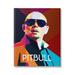 Stupell Industries Pitbull Modern Portrait by Birch&Ink - Graphic Art Canvas in Blue/Brown/Orange | 20 H x 16 W x 1.5 D in | Wayfair