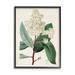 Rosalind Wheeler Vintage Garden Study Red Stem Floral Plant Canvas in Brown/Green | 14 H x 11 W x 1.5 D in | Wayfair