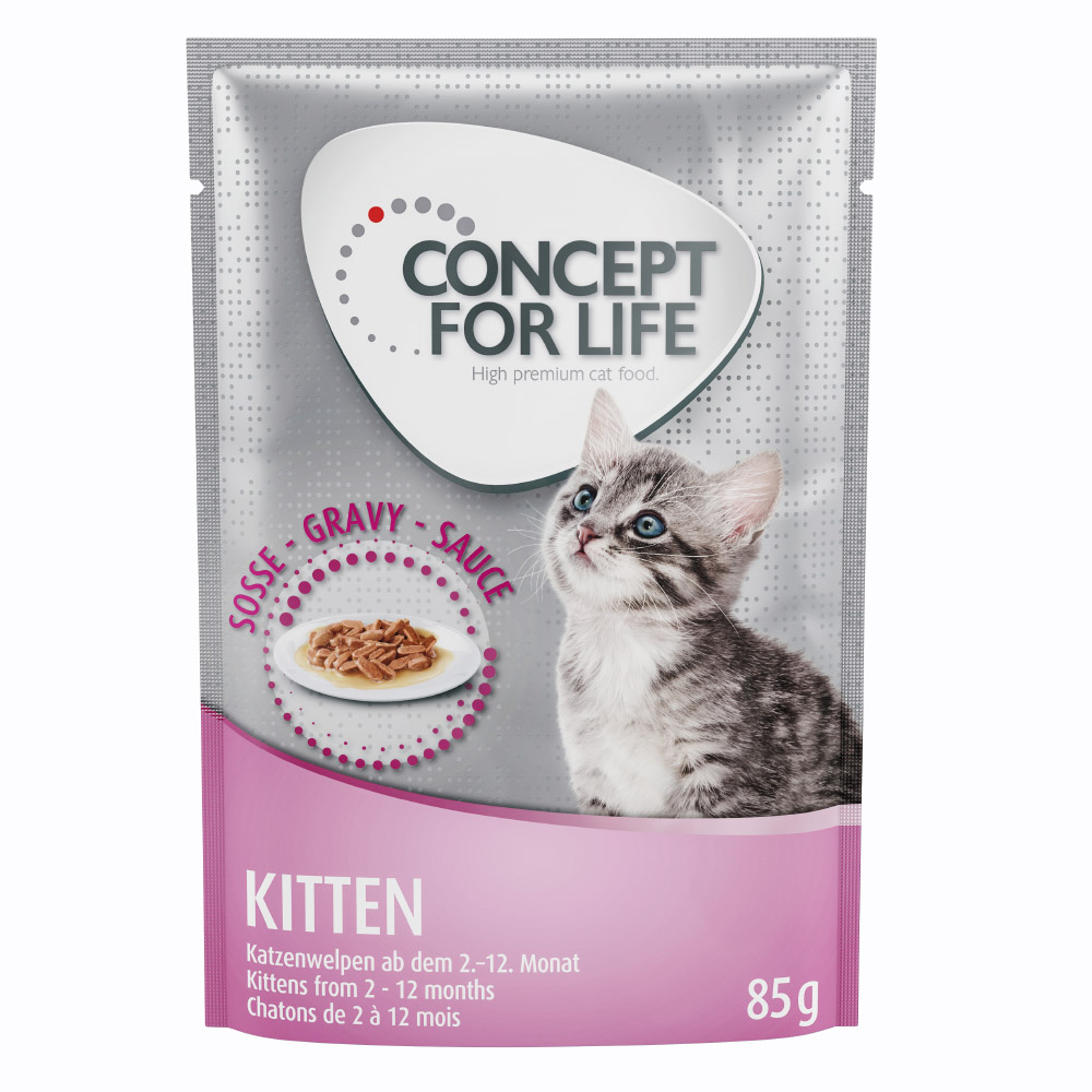Concept for Life Kitten - ricetta migliorata! - umido a completamento: 12 x 85 g Concept for Life Kitten in Salsa