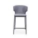 Cesar Grey Counter Stool (Set of 4) - 42'' H x 20'' W x 20'' D