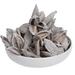 Vickerman 3"-4" Sora Pods, Dried Bulk Case | 3 H x 5 W x 4 D in | Wayfair H2SORB900