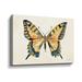 Latitude Run® Butterfly Study II by Farida Zaman - Painting on Canvas in Black | 8 H x 12 W x 2 D in | Wayfair 90081D98719448BB9BCA2997FA07F9D9