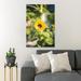 Gracie Oaks Yellow Sunflower 20 - 1 Piece Rectangle Graphic Art Print On Wrapped Canvas in Green/Yellow | 14 H x 11 W x 2 D in | Wayfair