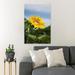 Gracie Oaks Yellow Sunflower In Bloom During Daytime 27 - 1 Piece Rectangle Graphic Art Print On Wrapped Canvas in Blue/Green/Yellow | Wayfair
