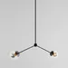 Roll & Hill Modo Pendant Light - 2 Globes - MODP2-BK-CL-120