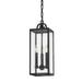 Troy Lighting Caiden 21 Inch Tall 3 Light Outdoor Hanging Lantern - F2066-FOR