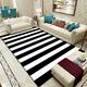 Area Rugs Living Room, Non-slip Shaggy Rug Bedroom Carpet 60 x 100cm, Modern Minimalist Black And White Striped Zebra Crossing Rug, Entrance Hallway Bedside Office