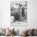 East Urban Home Black California Series - Desert Plants II by Philippe Hugonnard - Wrapped Canvas Photograph Print Canvas in Black/White | Wayfair