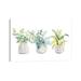 East Urban Home Decorative Plant Arrangement I by Lanie Loreth - Wrapped Canvas Painting Canvas | 8 H x 12 W x 0.75 D in | Wayfair