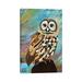 East Urban Home A Brand New Day Owl by Barbara Rush - Wrapped Canvas Painting Canvas in Black/Blue/Green | 12 H x 8 W x 0.75 D in | Wayfair