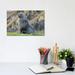 East Urban Home Antarctic Fur Seal (Arctocephalus Gazella) Bull. South Georgia Island by Martin Zwick - Wrapped Canvas Photograph Canvas | Wayfair